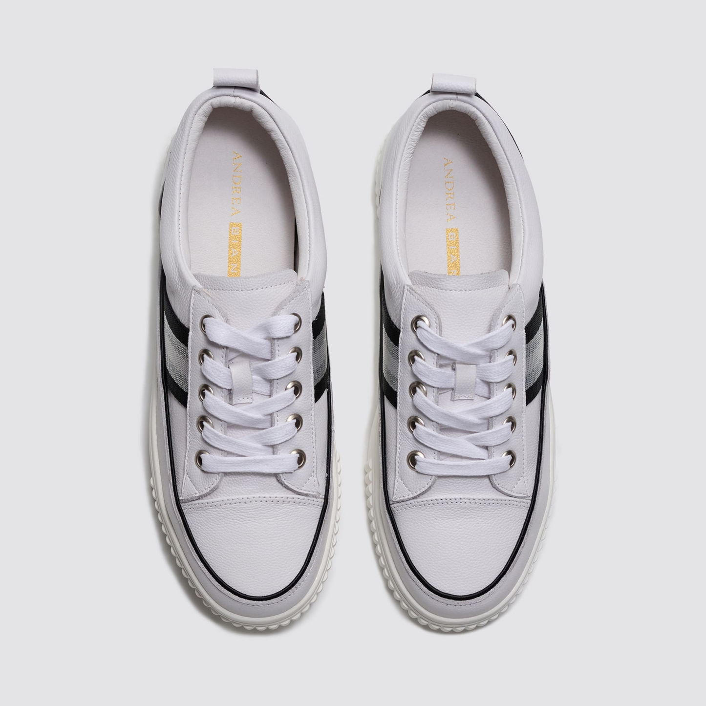 Intrigue White/Black