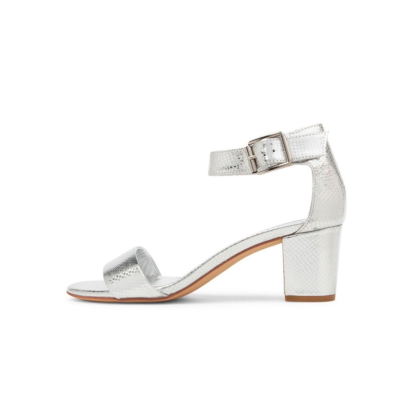 Cassier Silver Lizard