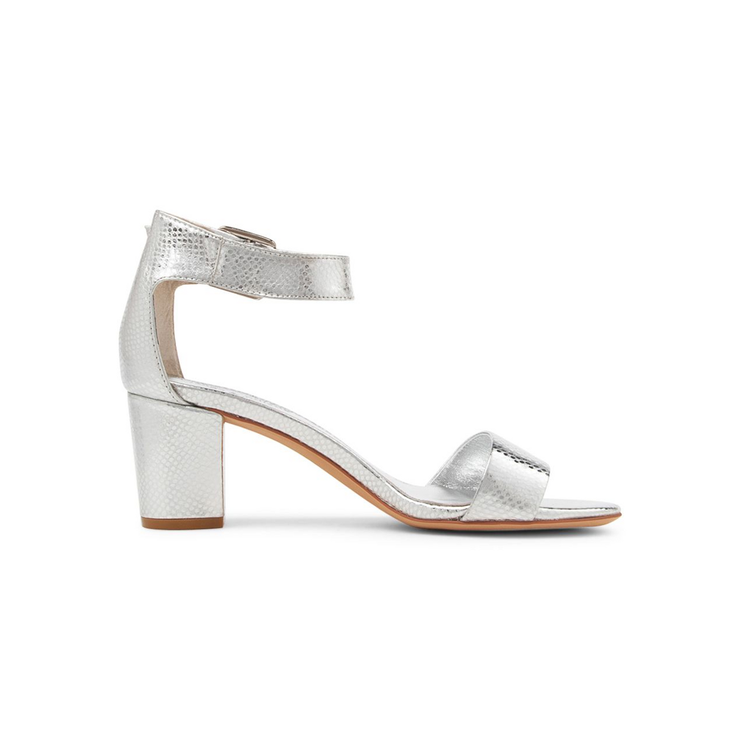 Cassier Silver Lizard
