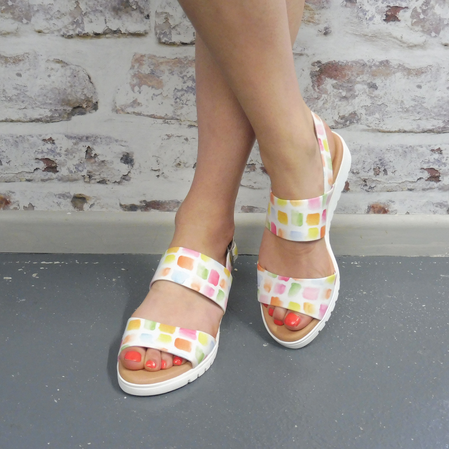 Maximo Paint Print (Size 39) - ONLINE ONLY