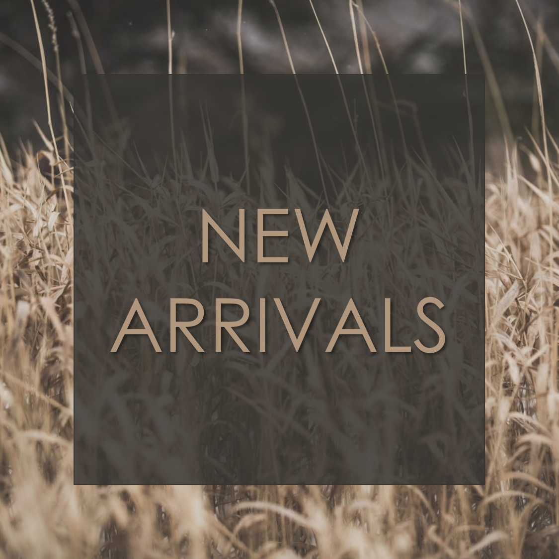 Collection of new arrivals 