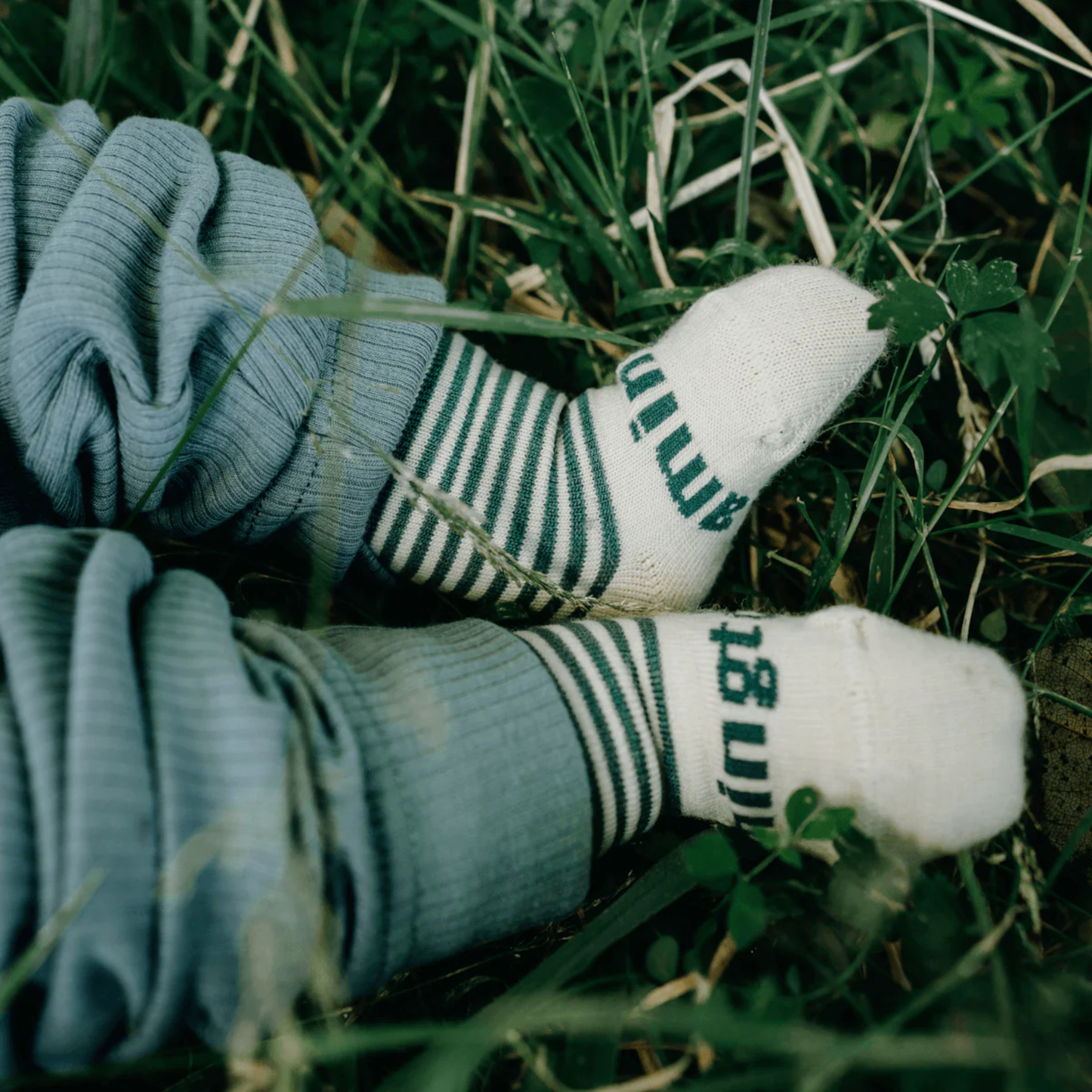 Baby Merino Wool Crew Socks Tui