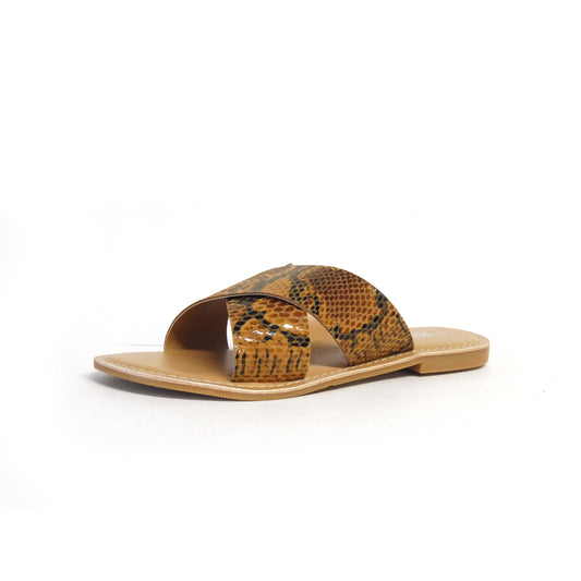 Quinn Python - ONLINE ONLY