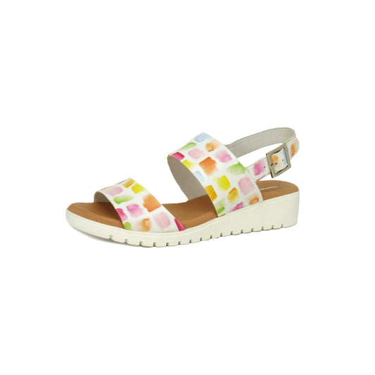 Maximo Paint Print (Size 39) - ONLINE ONLY